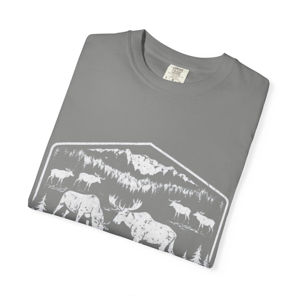 Fun for the boys T-Shirt — Bold Handwritten 4th of July Patriotic Tee