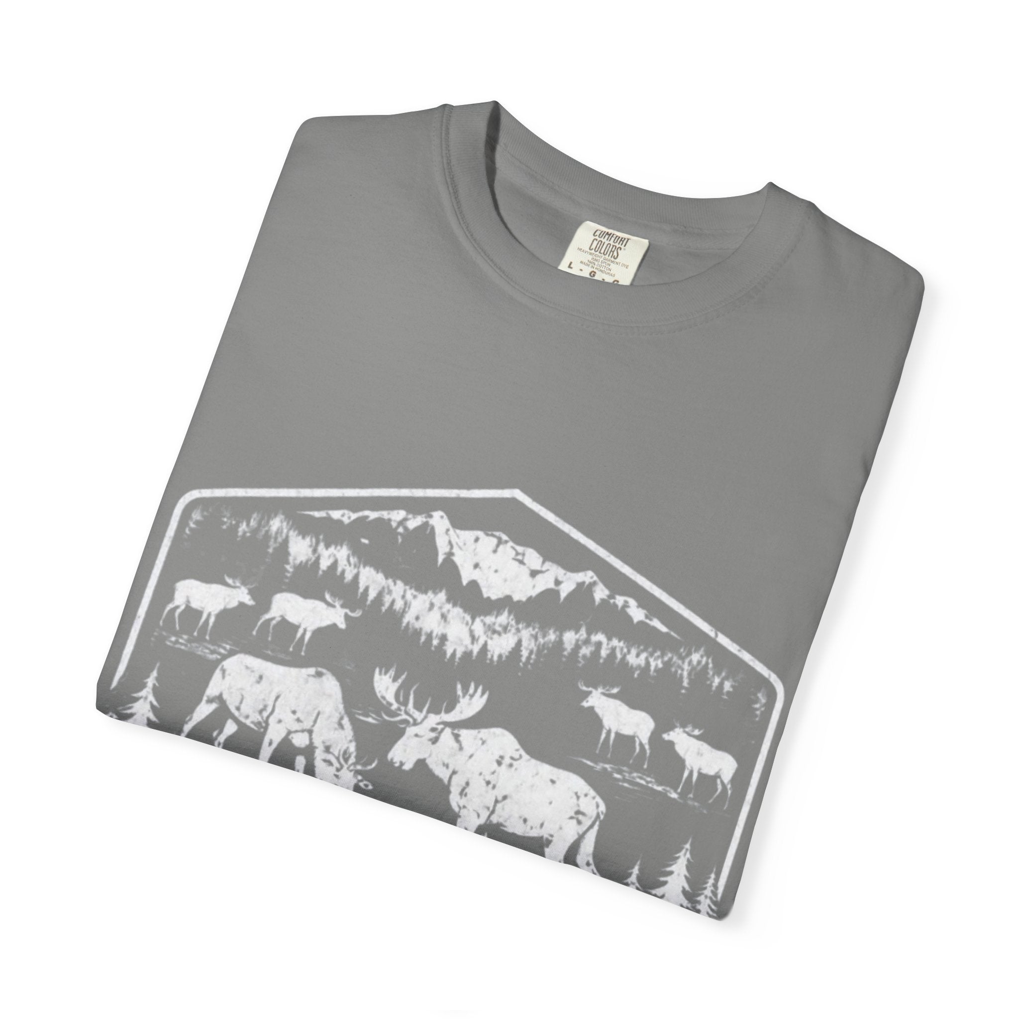 Fun for the boys T-Shirt — Bold Handwritten 4th of July Patriotic Tee